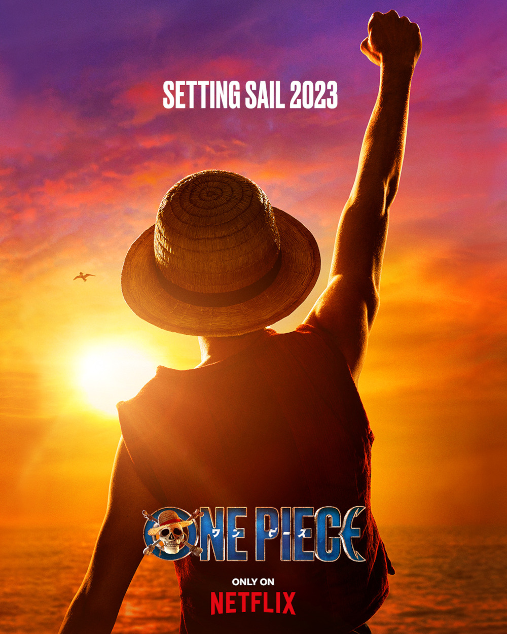 One Piece Live Action Netflix Visual One Piece Live Action Netflix Visual